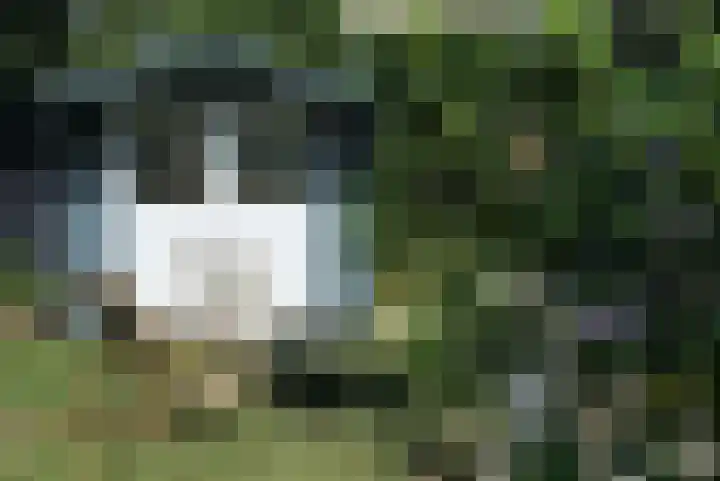 Mardyk 3 A 3 Elahuizen thumbnail 7