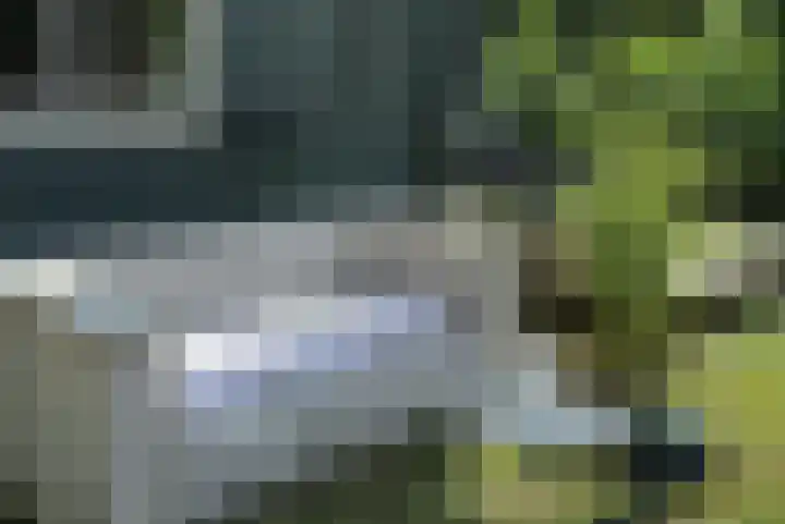 Mardyk 3 A 3 Elahuizen thumbnail 8