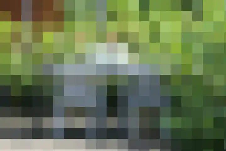 Mardyk 3 A 3 Elahuizen thumbnail 9
