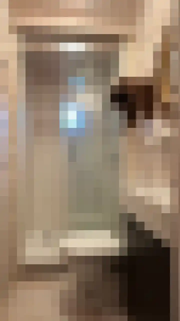 Mardyk 3 C 3 Elahuizen thumbnail 18