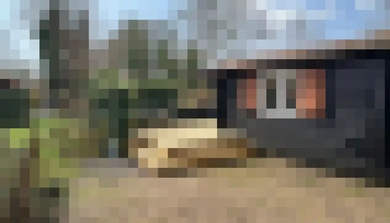 Mardyk 3 C 3 Elahuizen thumbnail 5