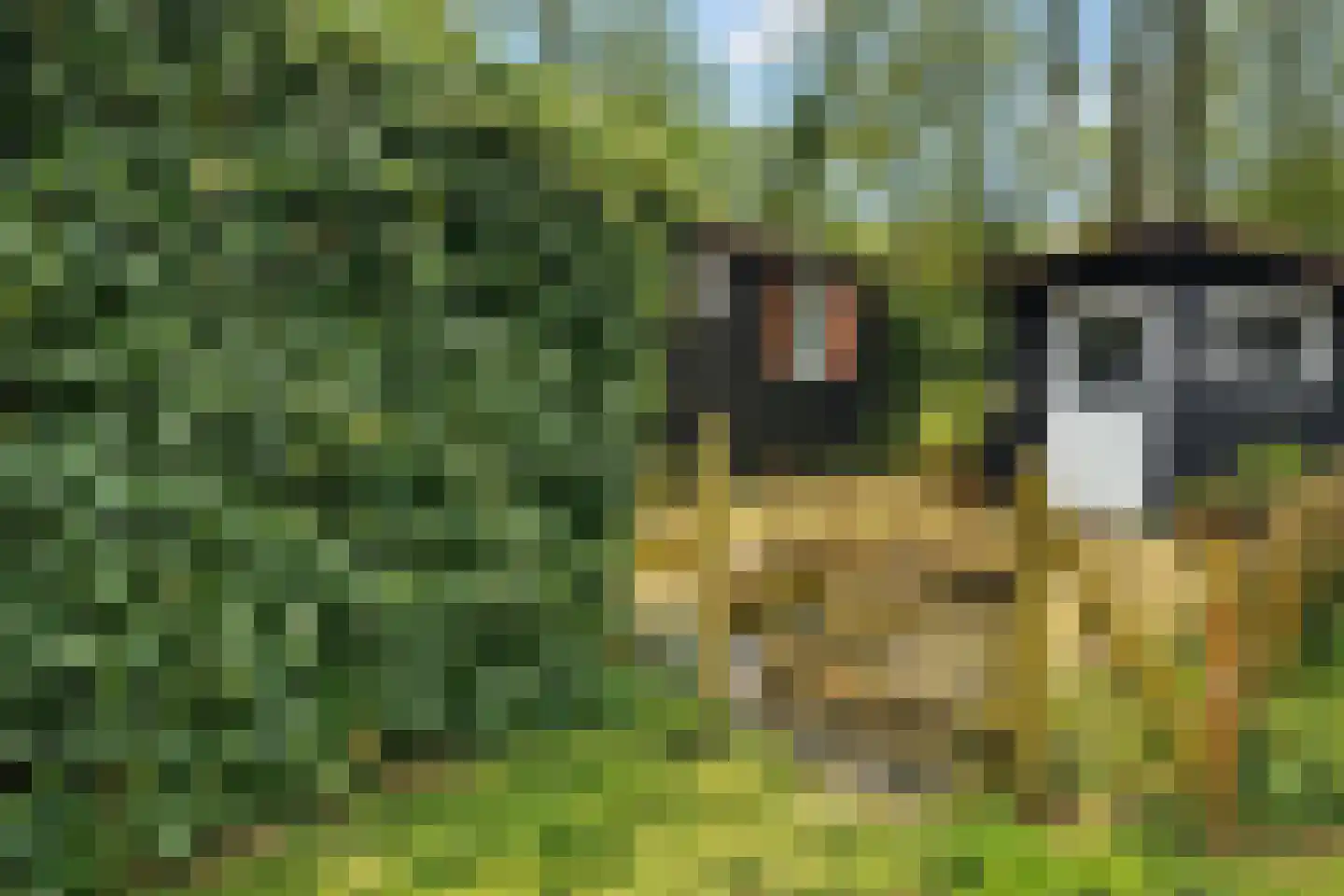 Mardyk 3 C 3 Elahuizen thumbnail 7