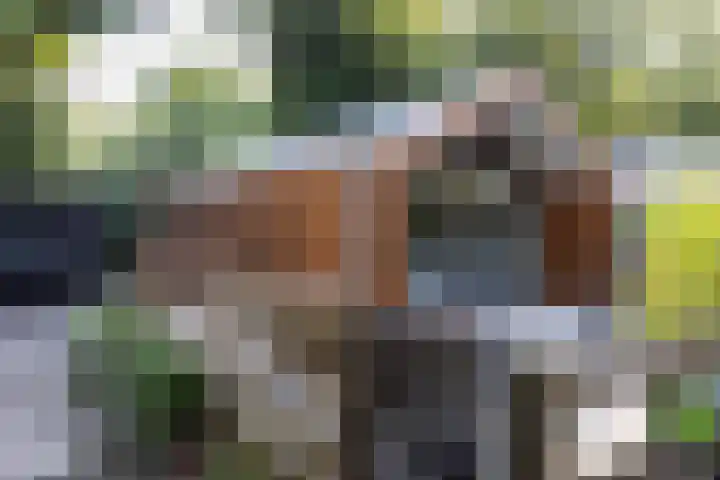 Mardyk 3 C 7 in Elahuizen