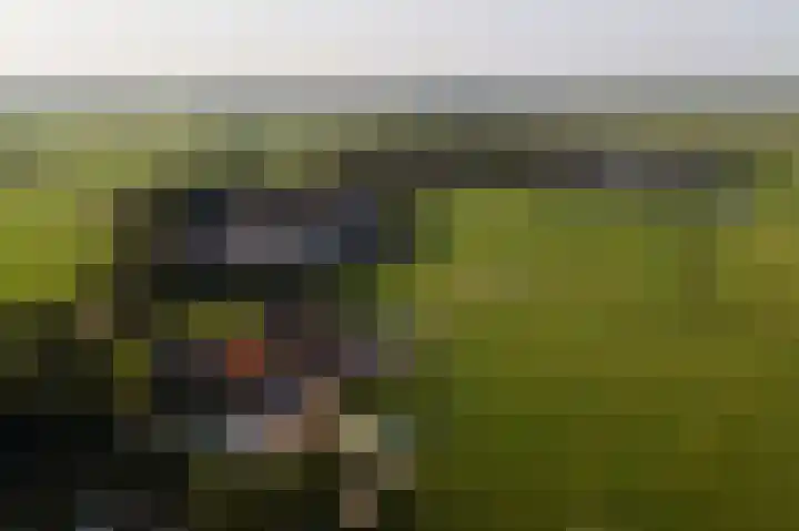 Mardyk 3 C 7 Elahuizen thumbnail 30
