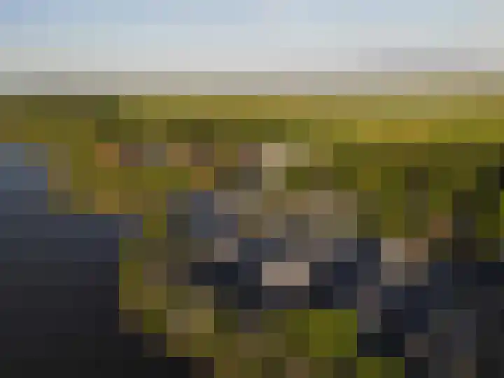 Mardyk 3 C 7 Elahuizen thumbnail 31