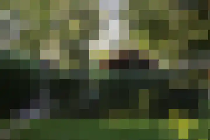 Mardyk 3 C 7 Elahuizen thumbnail 6