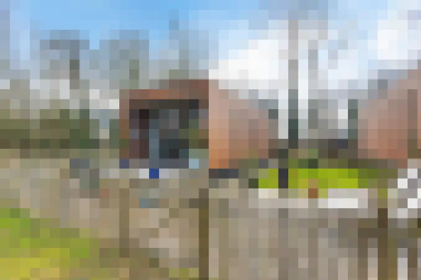 Mardyk 3 E 6 in Elahuizen