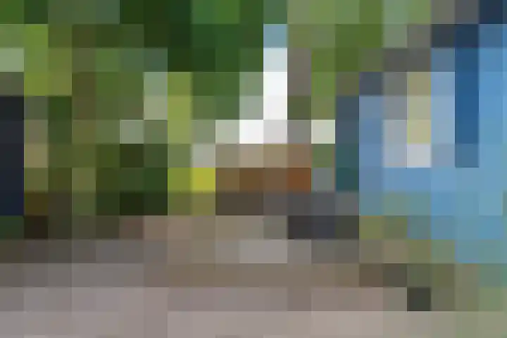 Mardyk 3 G 4 Elahuizen thumbnail 24