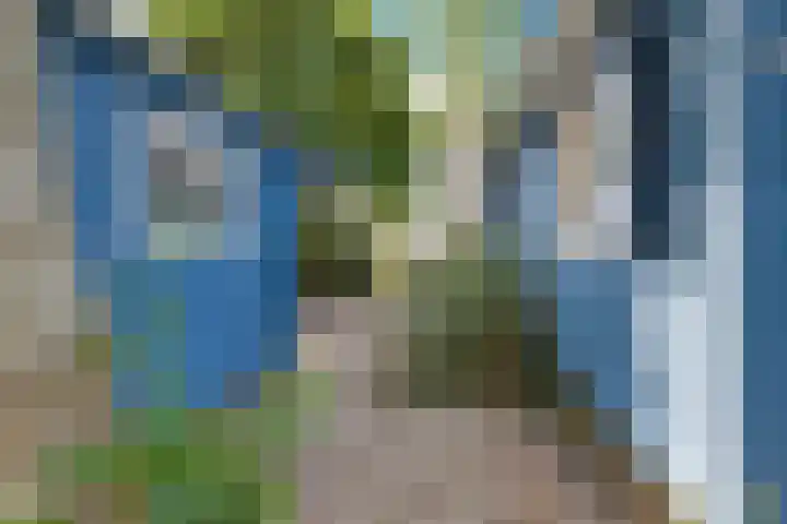 Mardyk 3 G 4 Elahuizen thumbnail 30