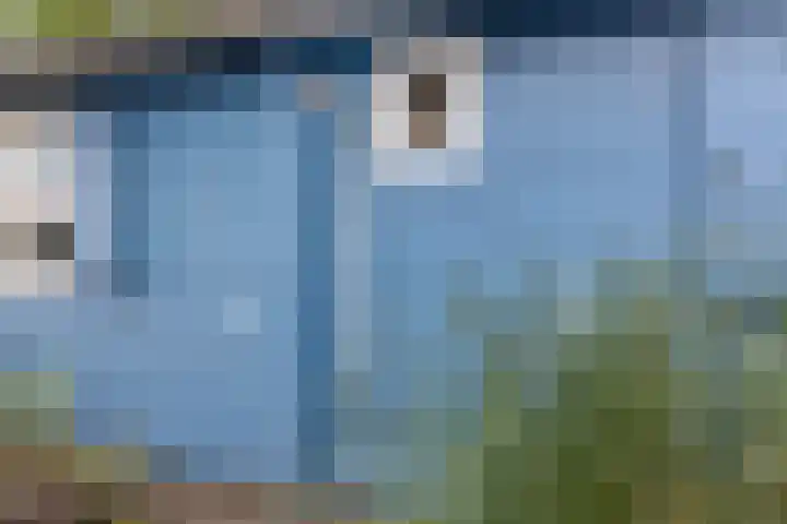 Mardyk 3 G 4 Elahuizen thumbnail 31