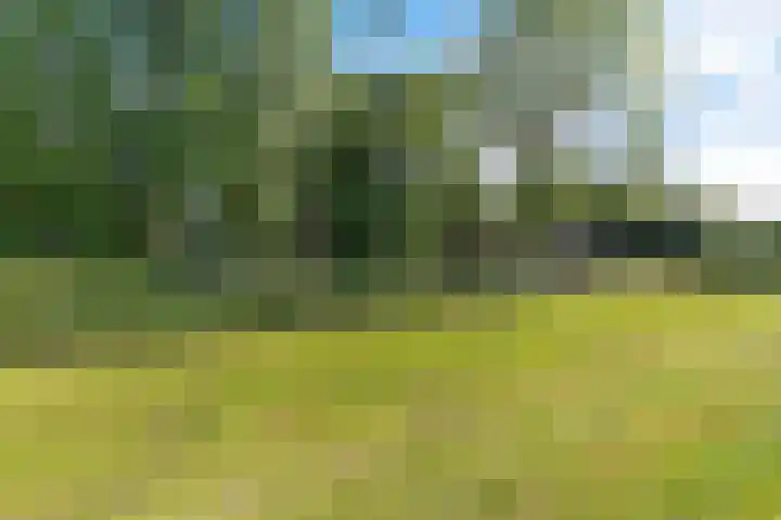 Mardyk 3 G 4 Elahuizen thumbnail 33