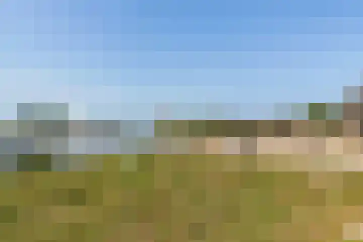 Mardyk 3 G 4 Elahuizen thumbnail 36