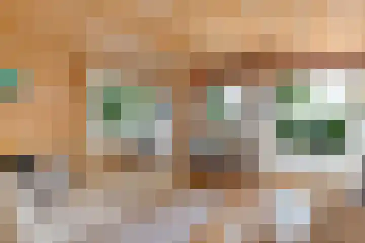 Mardyk 3 G 4 Elahuizen thumbnail 7