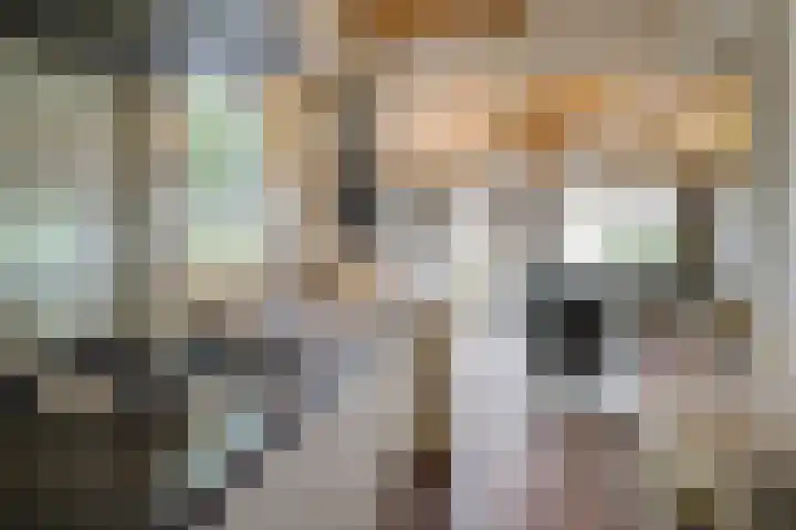 Mardyk 3 G 6 Elahuizen thumbnail 10