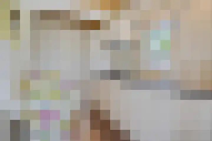 Mardyk 3 G 6 Elahuizen thumbnail 12