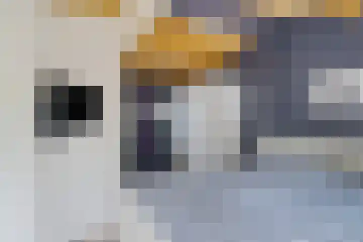 Mardyk 3 G 6 Elahuizen thumbnail 16