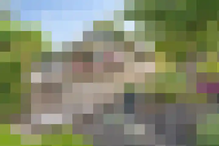 Mardyk 3 G 6 Elahuizen thumbnail 21