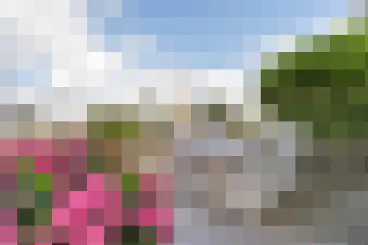Mardyk 3 G 6 Elahuizen thumbnail 22