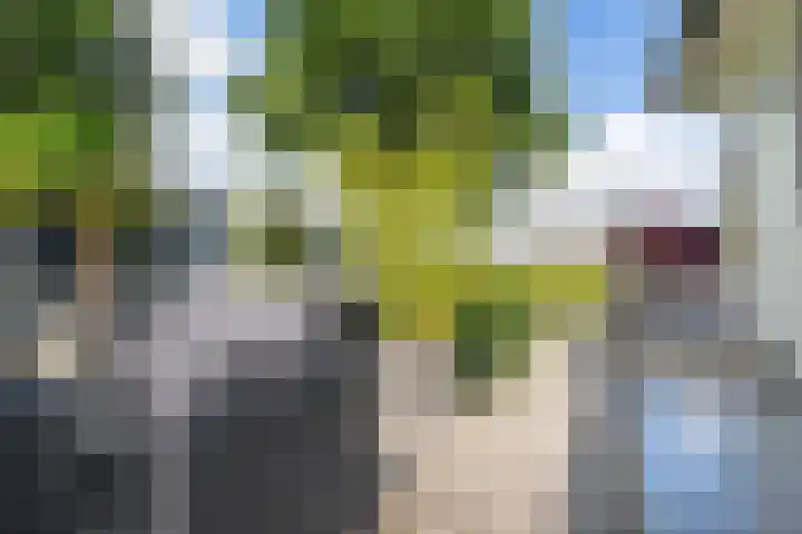 Mardyk 3 G 6 Elahuizen thumbnail 24