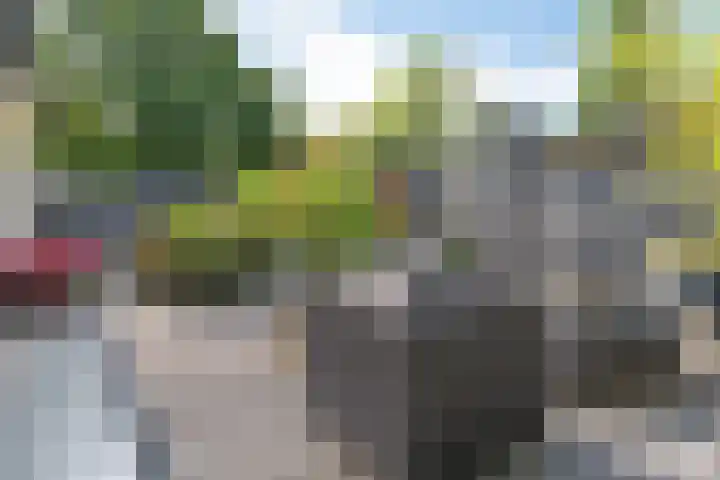 Mardyk 3 G 6 Elahuizen thumbnail 29