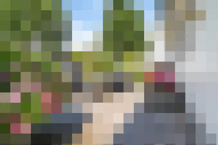 Mardyk 3 G 6 Elahuizen thumbnail 30