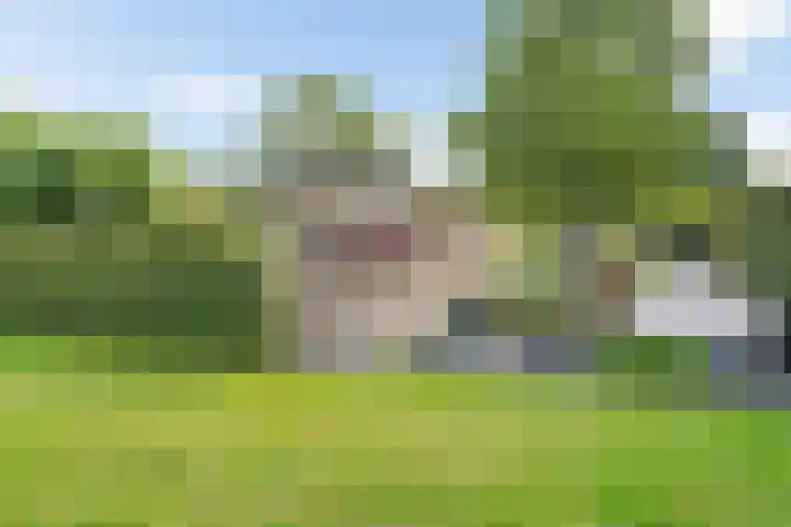 Mardyk 3 G 6 Elahuizen thumbnail 33