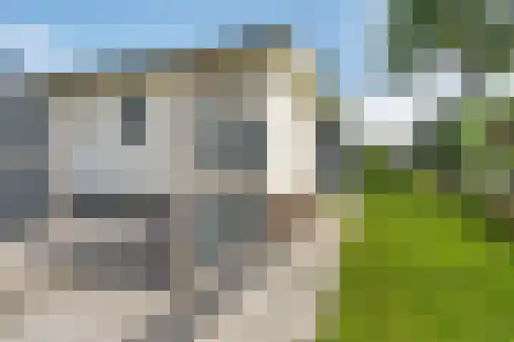 Mardyk 3 G 6 Elahuizen thumbnail 34