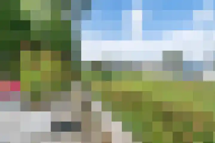 Mardyk 3 G 6 Elahuizen thumbnail 35