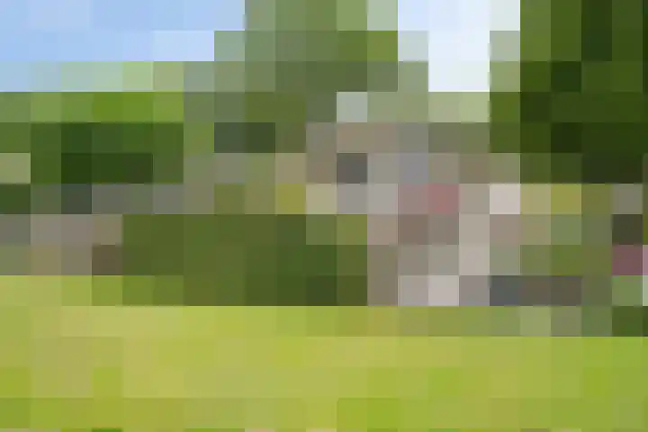 Mardyk 3 G 6 Elahuizen thumbnail 5