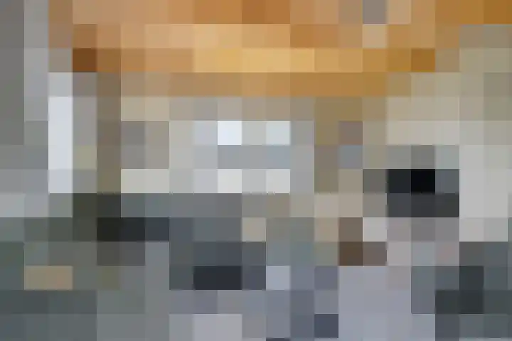 Mardyk 3 G 6 Elahuizen thumbnail 6