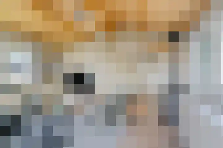 Mardyk 3 G 6 Elahuizen thumbnail 7