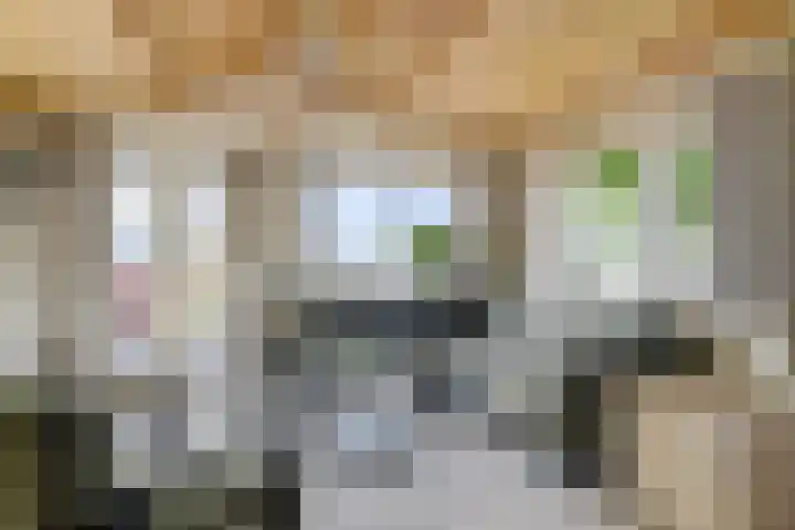 Mardyk 3 G 6 Elahuizen thumbnail 8