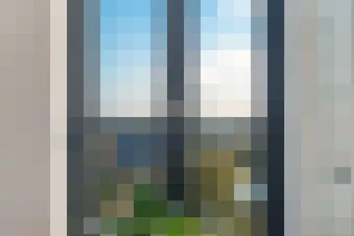 Mare 100 Pijnacker thumbnail 10