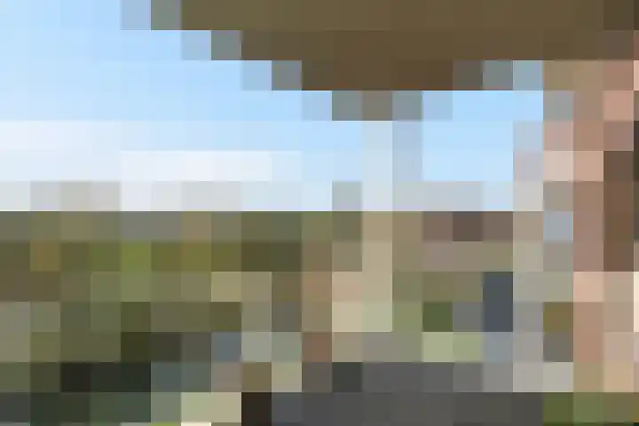 Mare 100 Pijnacker thumbnail 11