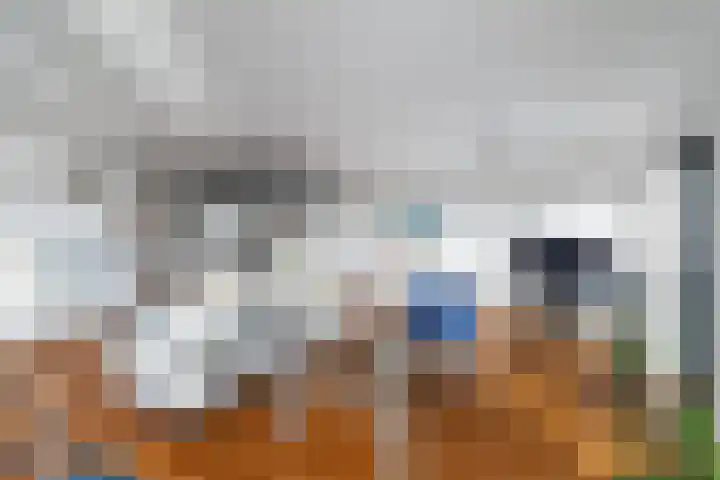 Mare 100 Pijnacker thumbnail 14