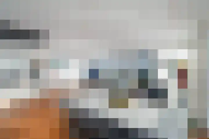 Mare 100 Pijnacker thumbnail 15