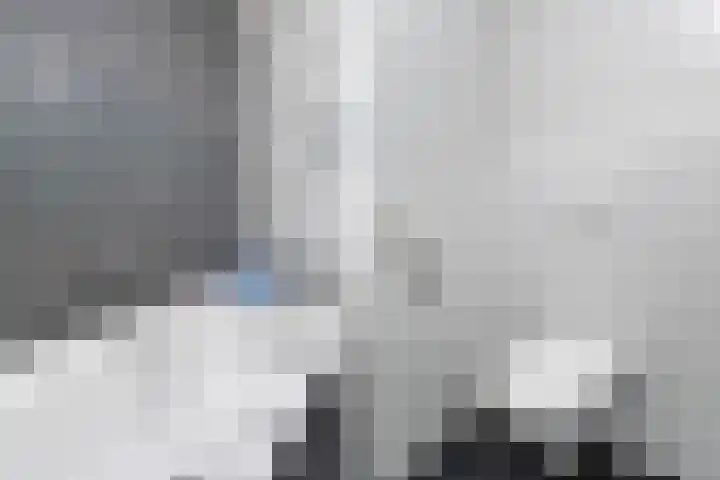 Mare 100 Pijnacker thumbnail 24