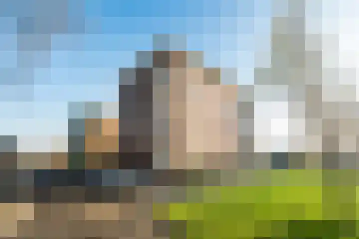 Mare 100 Pijnacker thumbnail 34