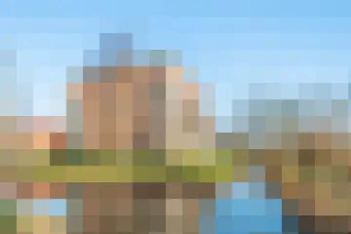 Mare 100 Pijnacker thumbnail 35