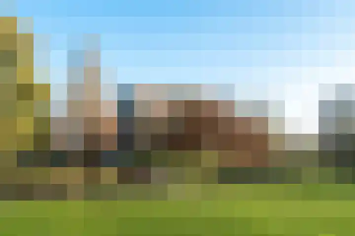 Mare 100 Pijnacker thumbnail 36