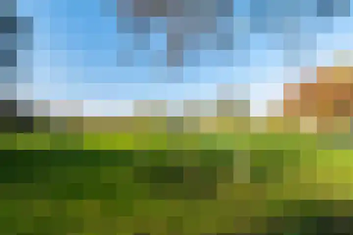Mare 100 Pijnacker thumbnail 37