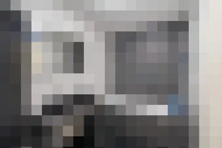 Mare 100 Pijnacker thumbnail 4