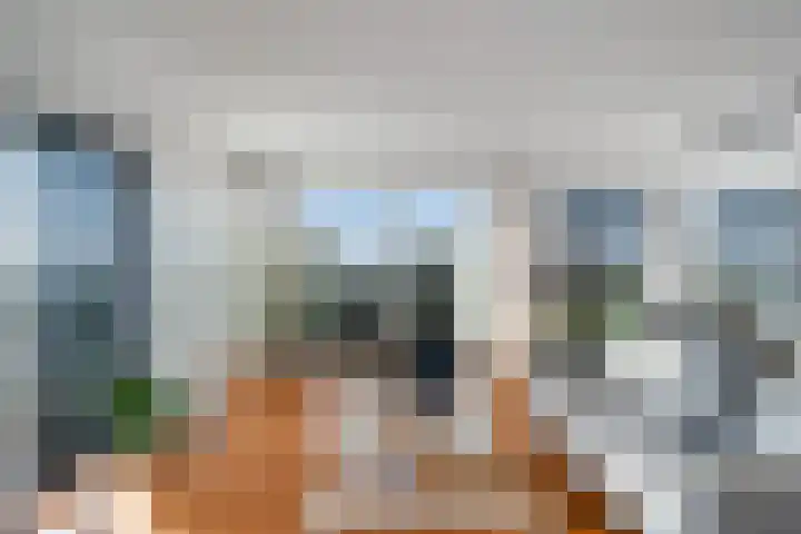 Mare 100 Pijnacker thumbnail 9