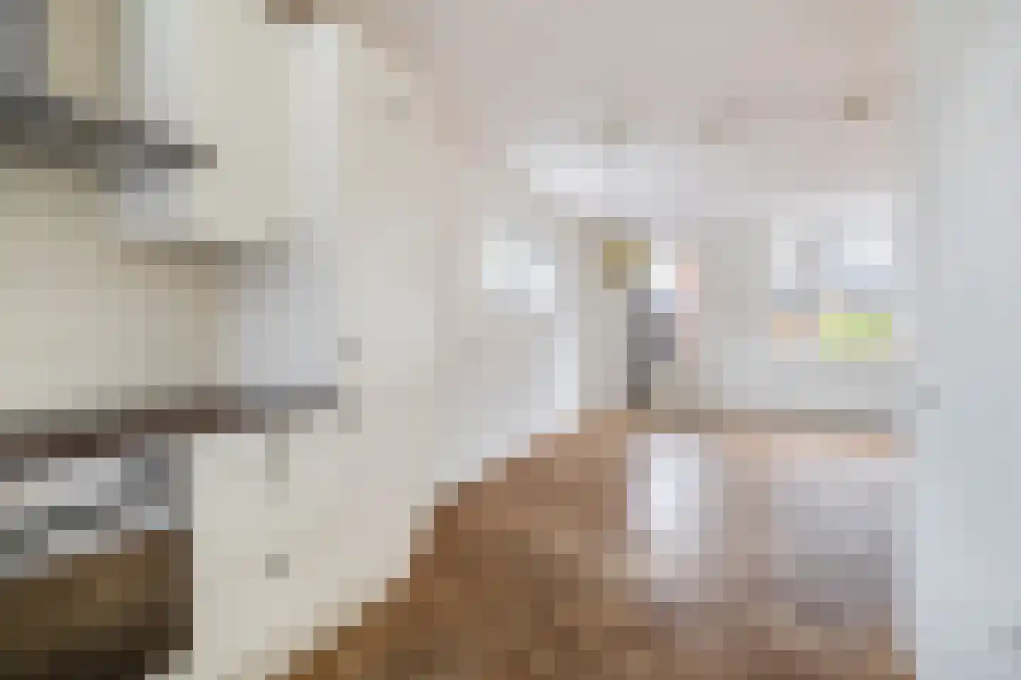 Mare 2 Pijnacker thumbnail 12