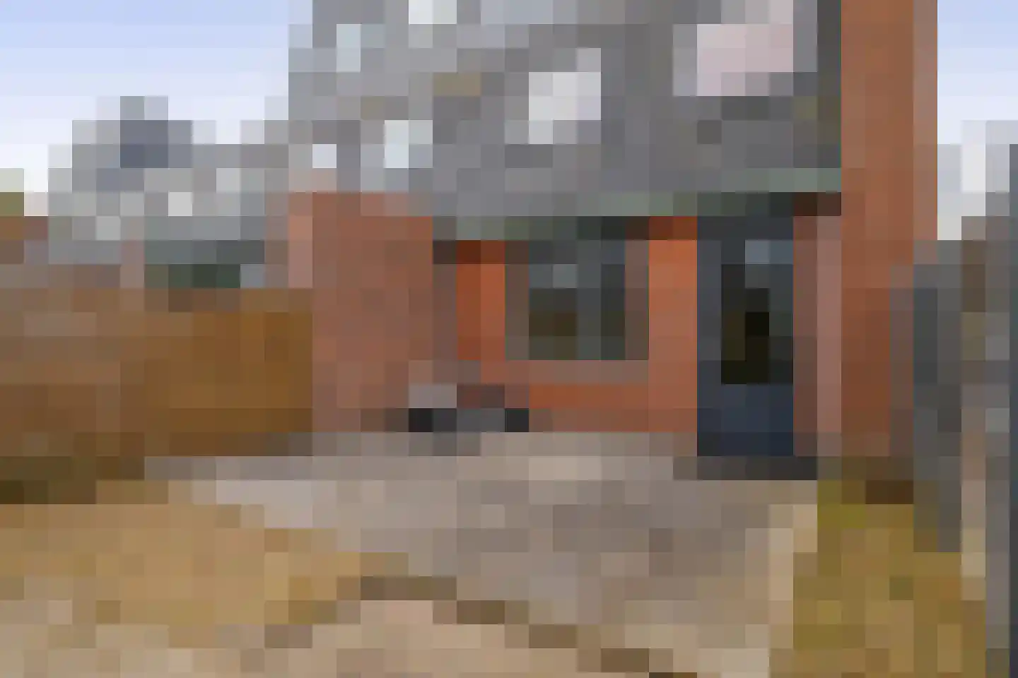 Mare 2 Pijnacker thumbnail 16