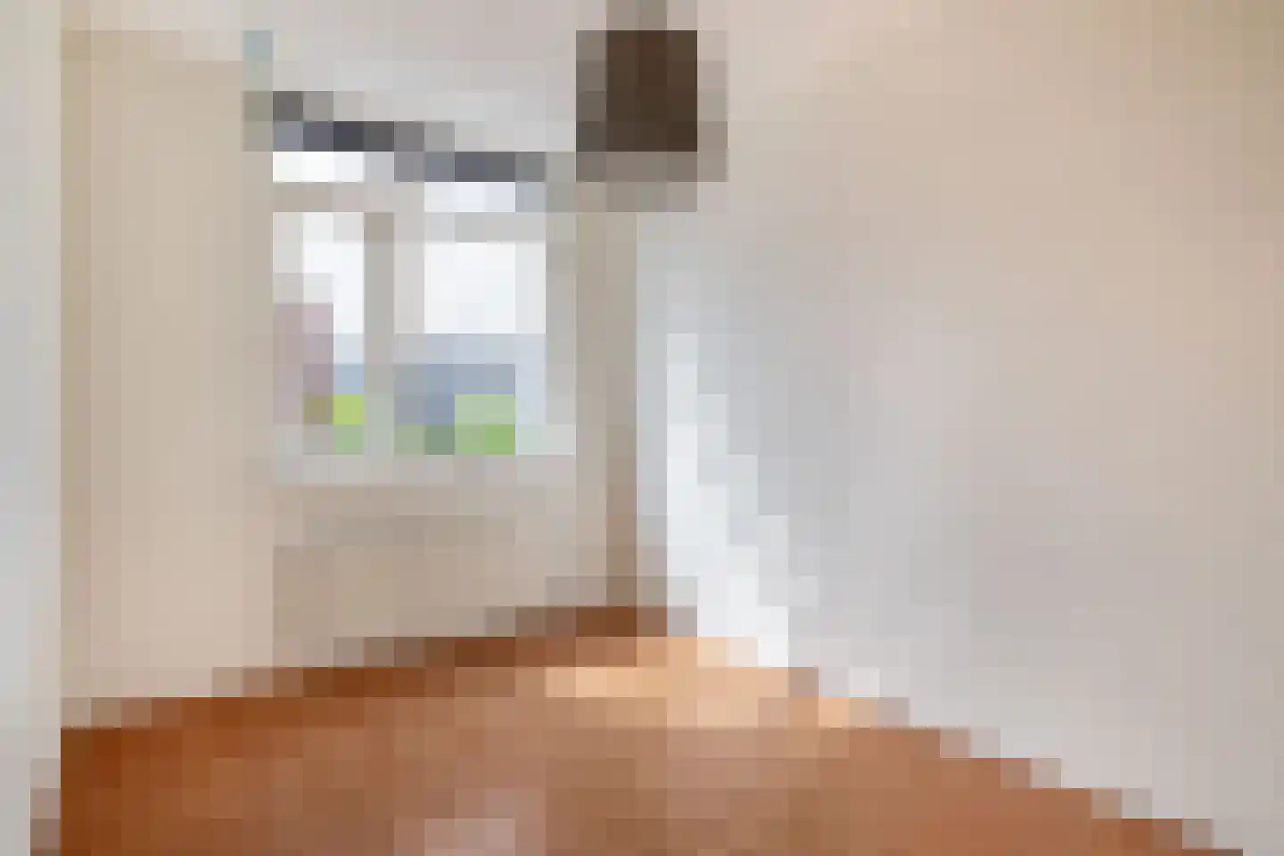 Mare 2 Pijnacker thumbnail 22