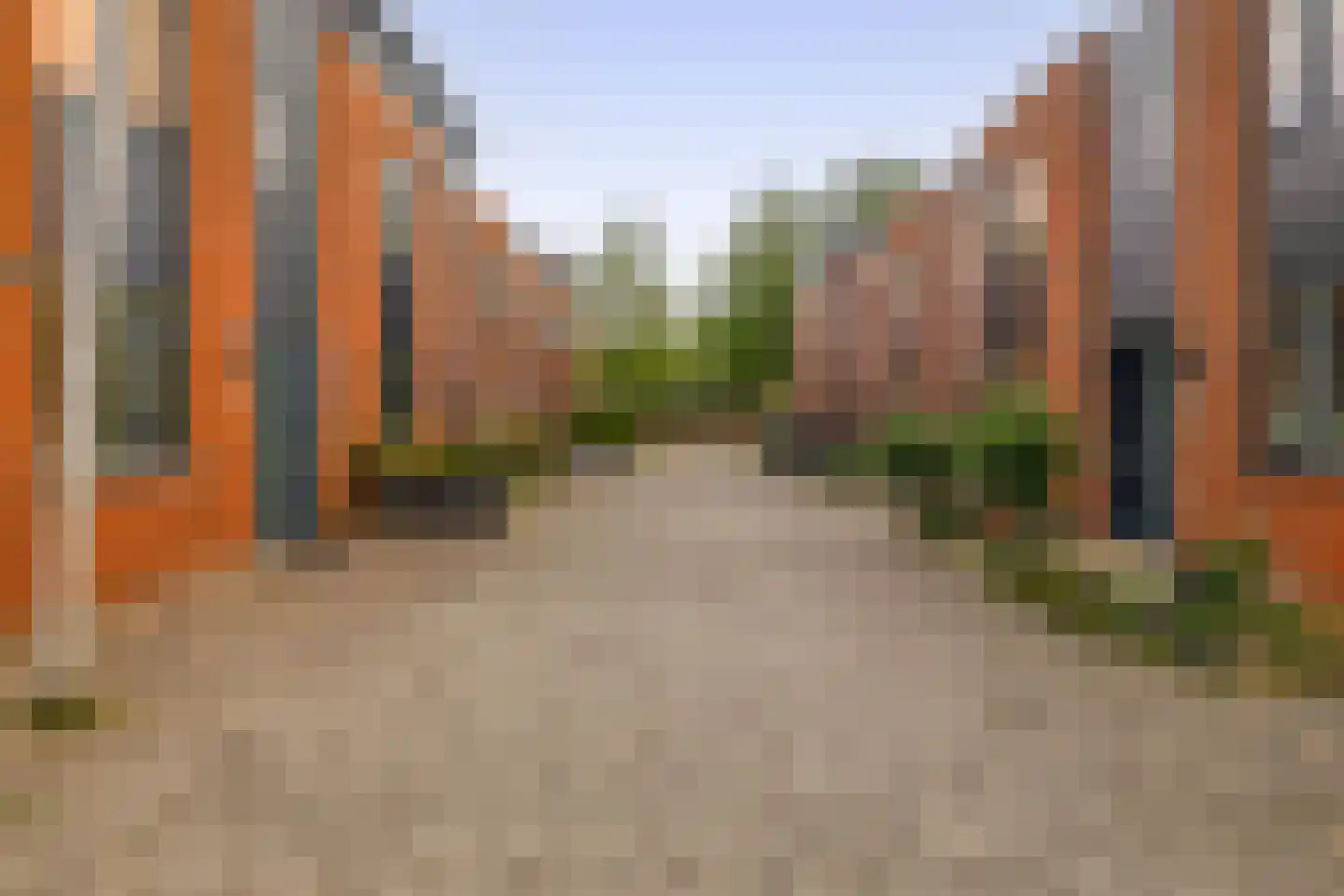 Mare 2 Pijnacker thumbnail 30