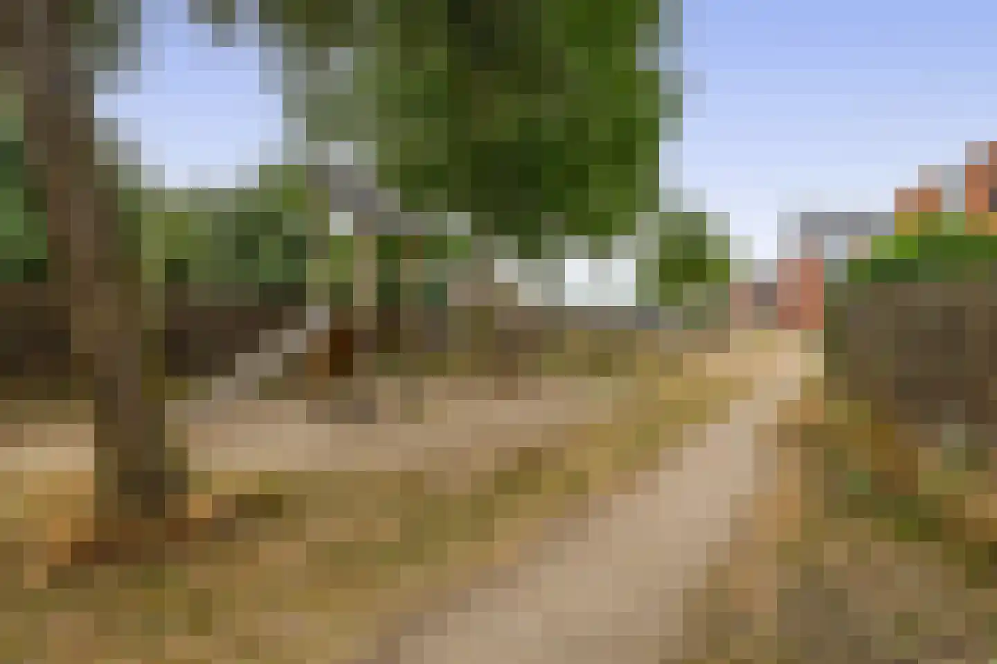 Mare 2 Pijnacker thumbnail 31