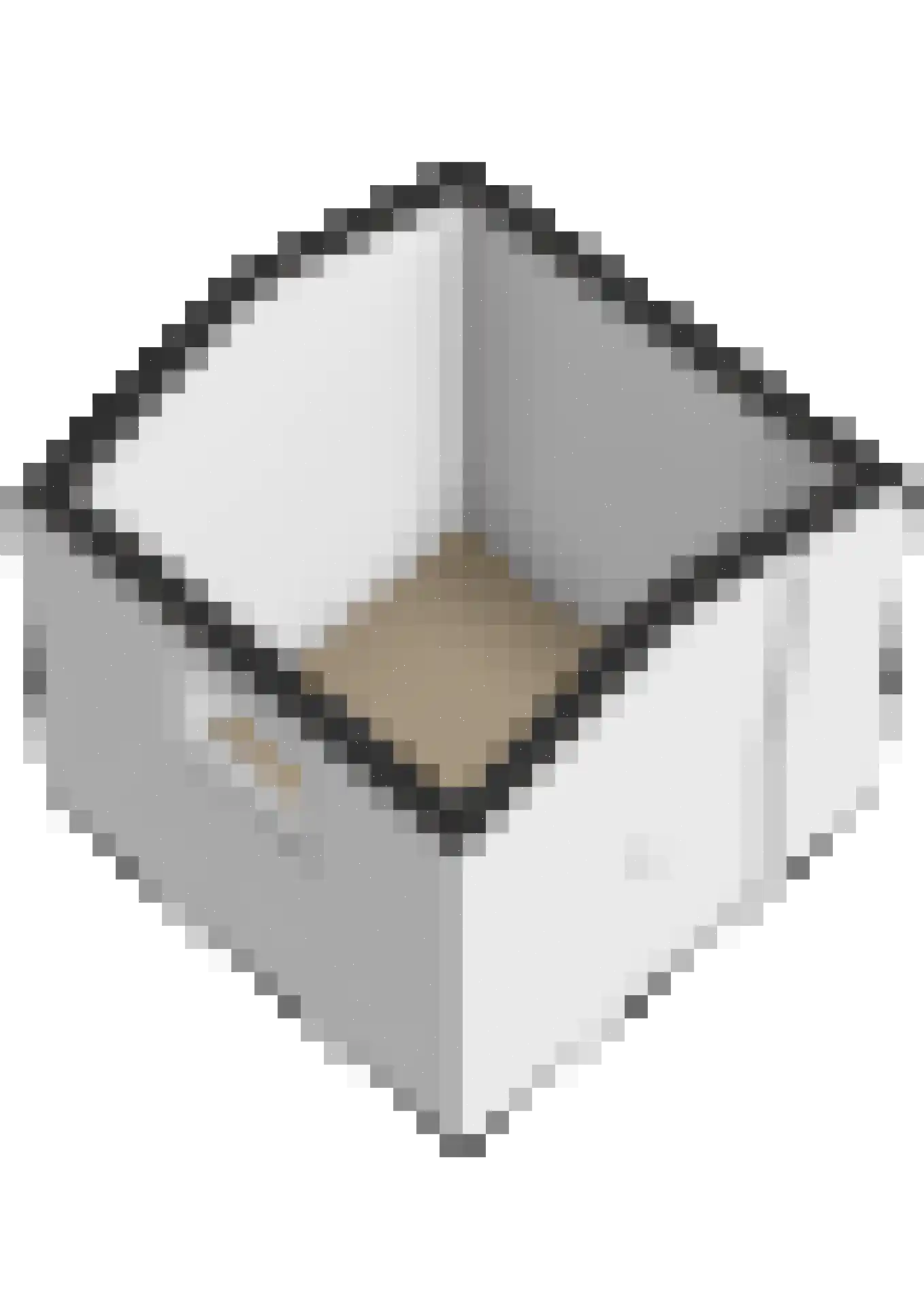 Mare 2 Pijnacker thumbnail 39