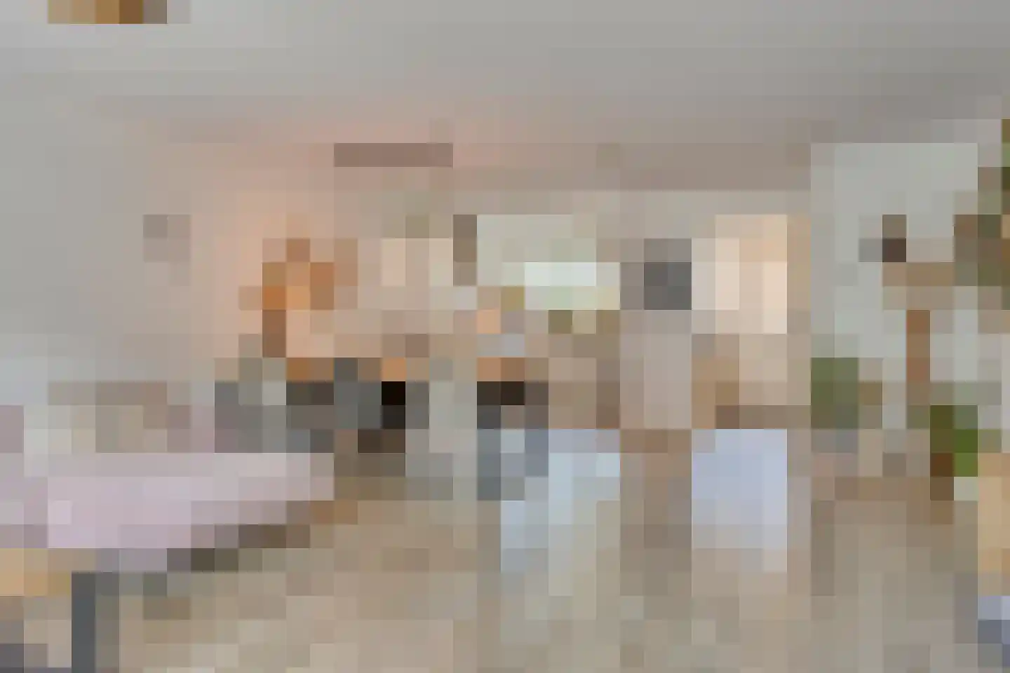 Mare 5 Pijnacker thumbnail 11